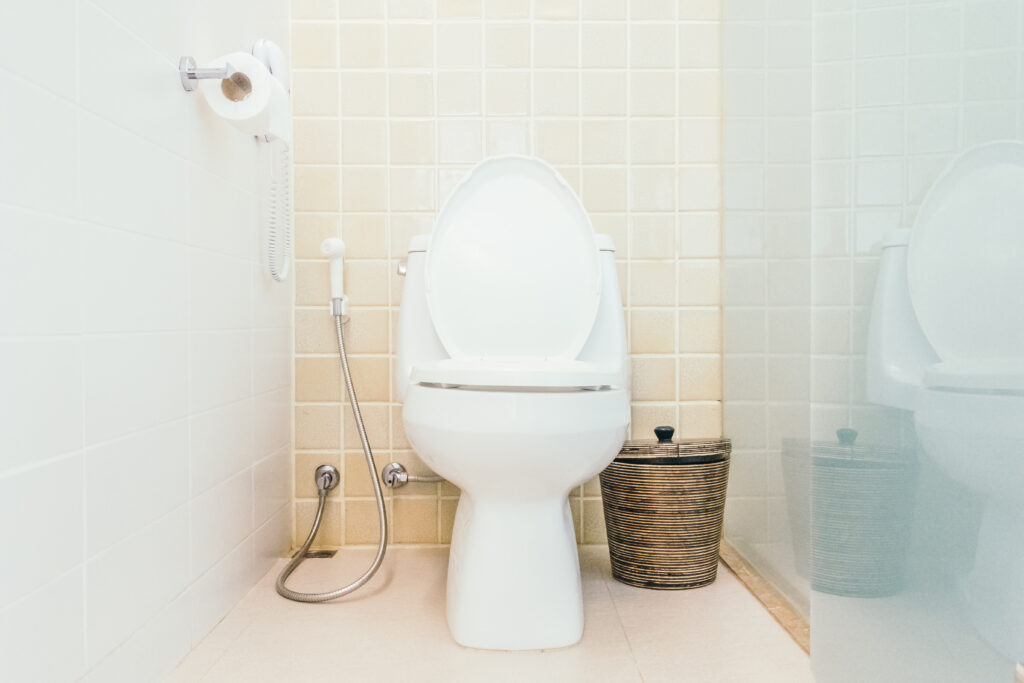 Taza wc